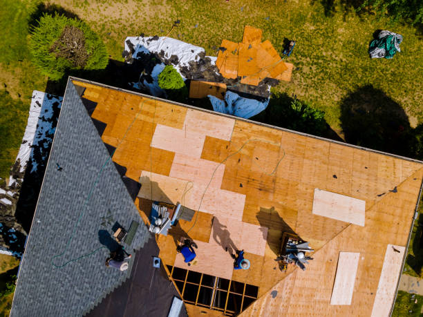 Best Best Roofing Contractors  in Freeland, MI