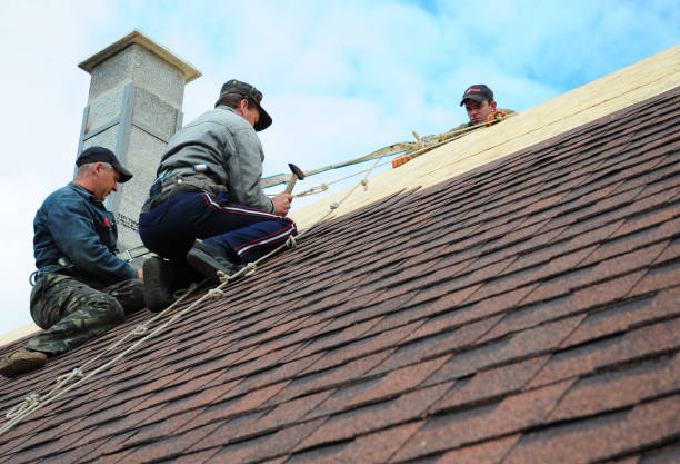 Gutter Installation and Roofing in Freeland, MI