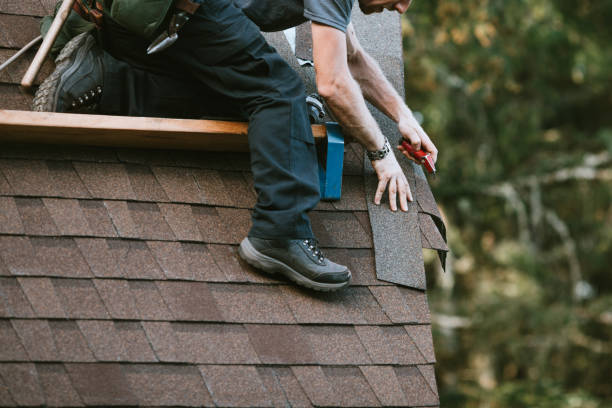 Trusted Freeland, MI Roofing Contractor Experts